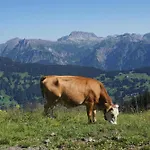 Gioia Ferienhaus