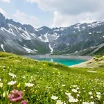 Gioia
