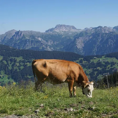 Gioia Дом отдыха